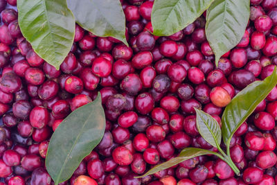 High angle view of strawberries