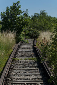 View of railroad tracks along trees