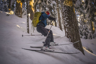 Woman skiing down between trees at sunset in the backcountry