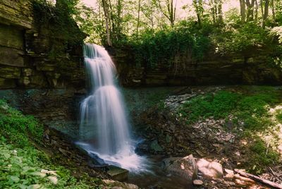 View of waterfall in forest