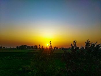 Scenic view of field against clear sky during sunset