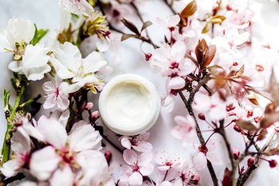 Top view of cosmetic cream with pink cherry flowers in a blue glass jar. hygienic skincare lotion