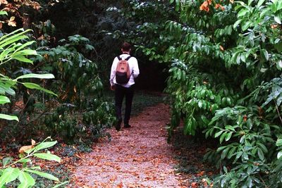 Full length of man walking in forest