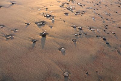 Golden beach at sunset time