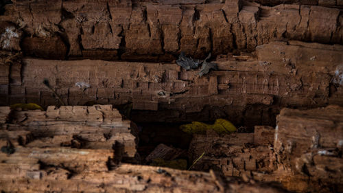 Rock formations in cave