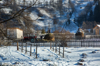 View of bare trees in winter