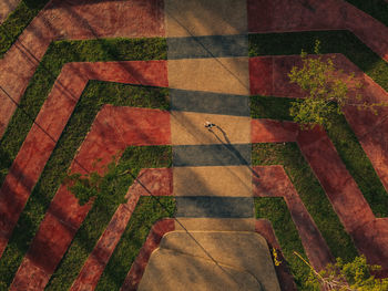 High angle view of plants growing on footpath