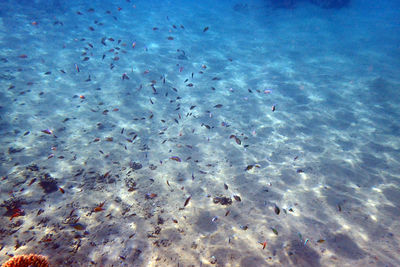 water