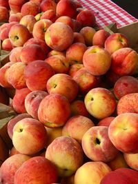 Full frame shot of peaches for sale at market stall