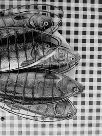 High angle view of fish on metal grate
