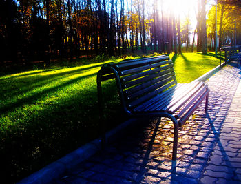 Empty footpath in park