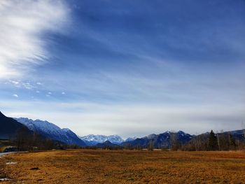 Scenic view of field against sky