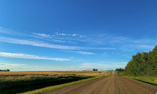 Scenic view of agricultural field against blue sky