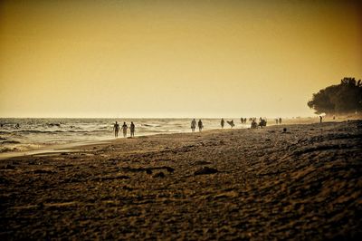 Scenic view of beach at sunset