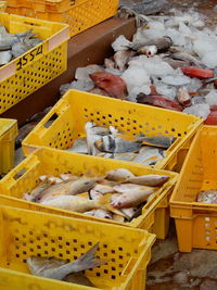 High angle view of freshly caught fish for sale at market stall in qatar.