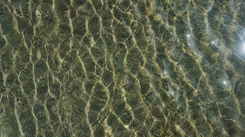 Full frame shot of rippled water