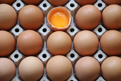 Fresh egg yolk uncooked is broken on the egg tray