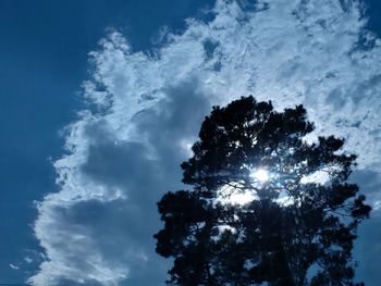 Low angle view of silhouette trees against blue sky