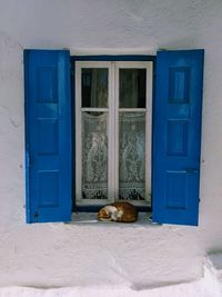 Cat looking through window of building