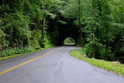 Road amidst trees in forest