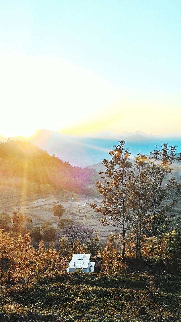 sun, tranquil scene, tranquility, scenics, beauty in nature, sunset, nature, landscape, sky, clear sky, sunlight, water, tree, plant, idyllic, field, lens flare, growth, sunbeam, non-urban scene