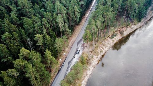 Aerial view of road amidst trees in forest