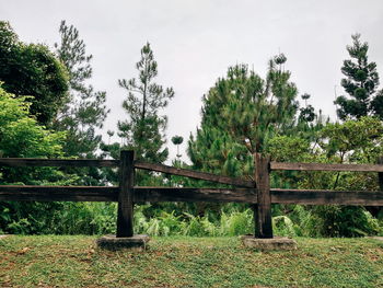 Trees growing on field against sky