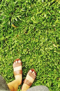 Women's feet in the grass