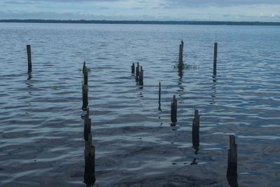 View of wooden posts in sea