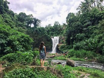 Full length of woman standing in forest