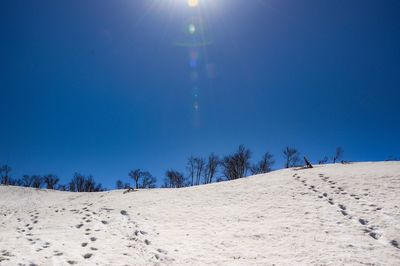 Scenic view of snow covered land against clear blue sky