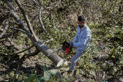 Full length of man climbing on tree in forest