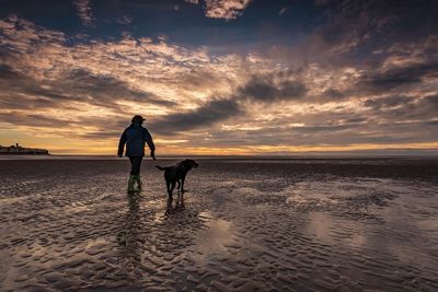 Rear view of man walking with dog at beach against sky during sunset