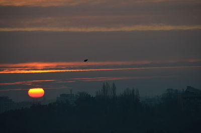 Silhouette of birds flying against orange sky