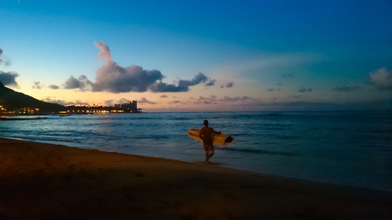 sea, water, sky, beach, horizon over water, sunset, shore, scenics, animal themes, cloud - sky, one animal, beauty in nature, tranquil scene, leisure activity, cloud, silhouette, nature, tranquility