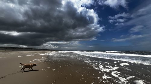 sky