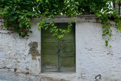 Closed door of building