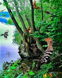 Bird on tree by lake