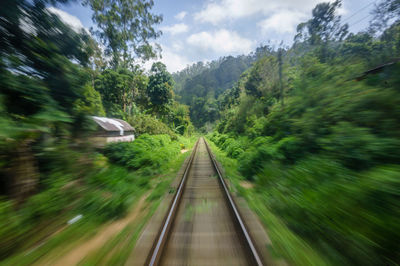 Railroad tracks amidst trees against sky