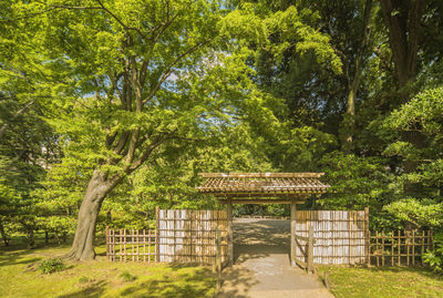 Bamboo gate in japanese garden 