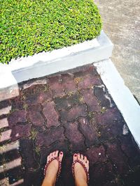 Low section of woman standing on sidewalk