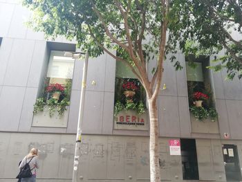 Full length of woman standing by flower tree against building