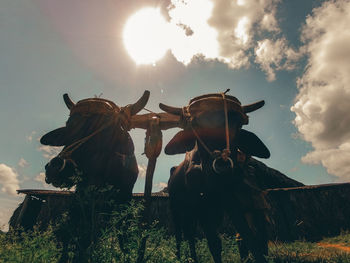 Traditional  worker field against sky