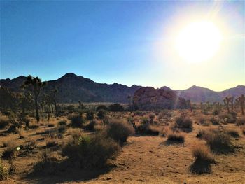 Scenic view of landscape against clear sky
