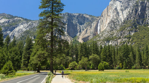 Scenic view of trees and mountains against clear sky