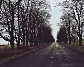 Empty road along trees