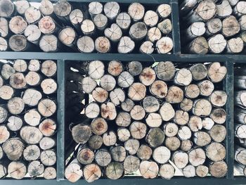 Full frame shot of logs in forest