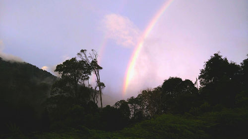 Scenic view of rainbow over trees against sky