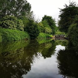 Reflection of trees in lake against sky