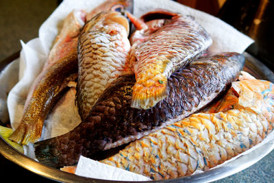 Close-up of fish in plate